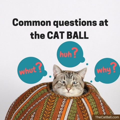 The cat clearance ball