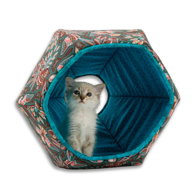 A tiny kitten inside the Cat Ball® cat bed. 