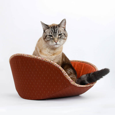 Jumbo Cat Canoe - Ginger