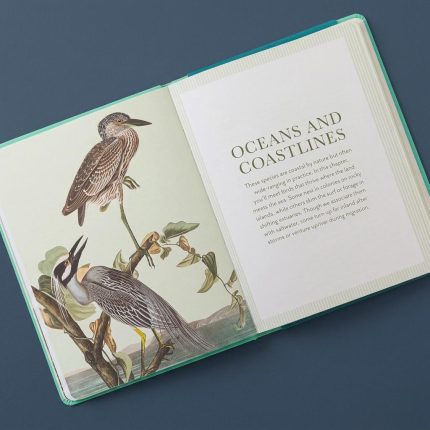 Bird Watching Bucket List Journal 1