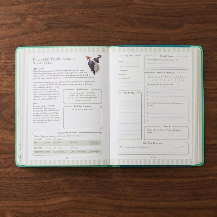 Bird Watching Bucket List Journal 4