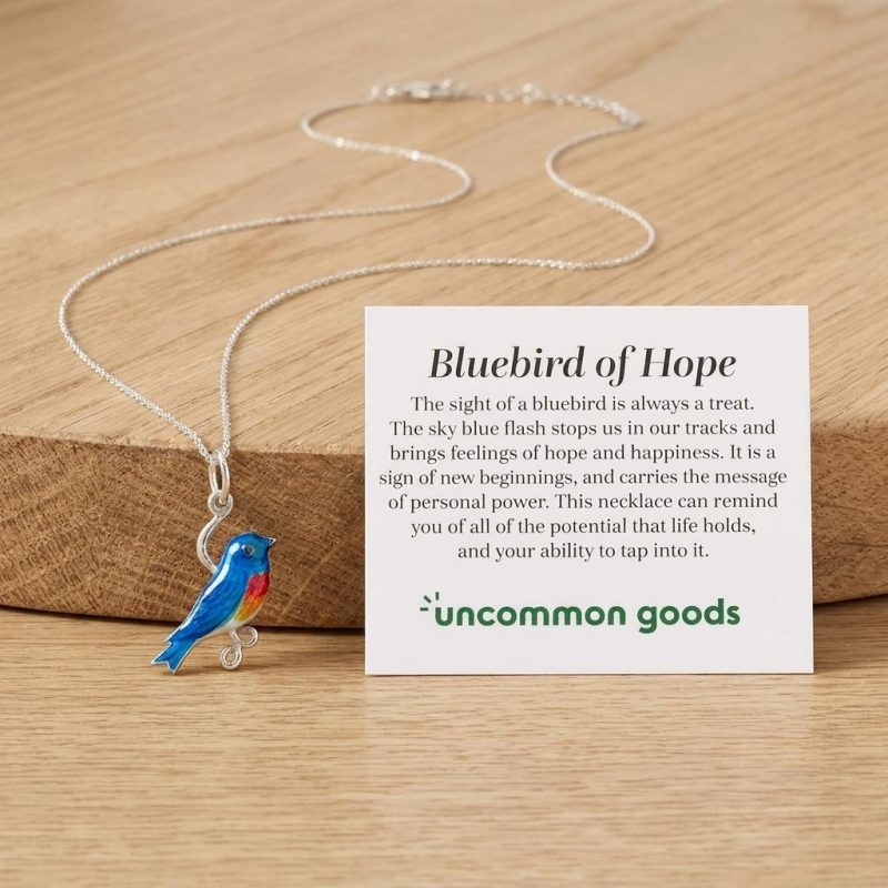 Bluebird Of Hope Necklace 3