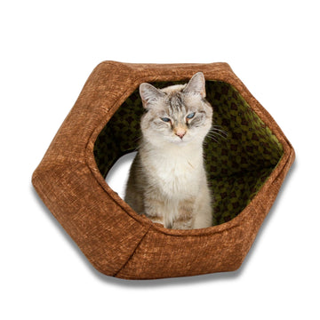 Cat Ball Bed - Avocado Toast