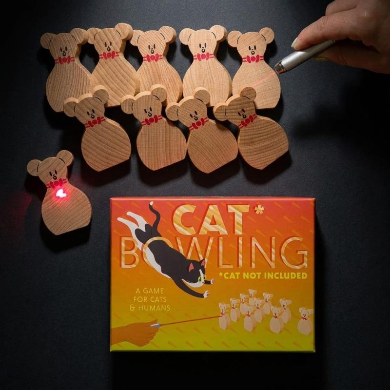 Cat Bowling