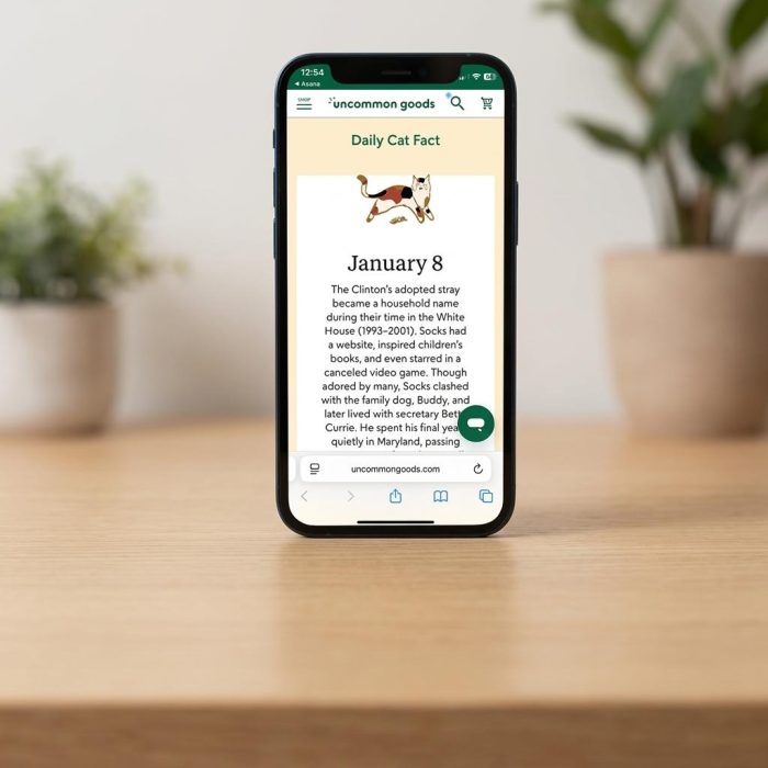 Cat Lover Interactive Qr Mug 3