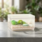 Create Your Own Tiny Turtle Terrarium 1