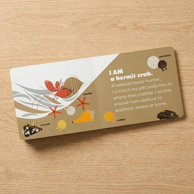 Educational Charley Harper's Animals Board Book Set 1