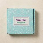 Gourmet Sweet & Salty Chocolate Pretzel Gift Set