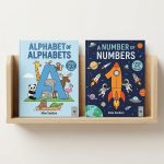 Interactive 2-in-1 Alphabet & Numbers Seek & Find Book