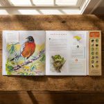Interactive Hear Them Sing Kids Book Of North American Birds 1