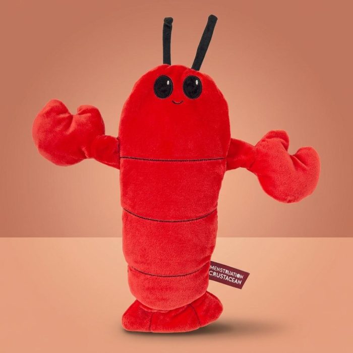 Menstruation Crustacean Warming Pillow 2