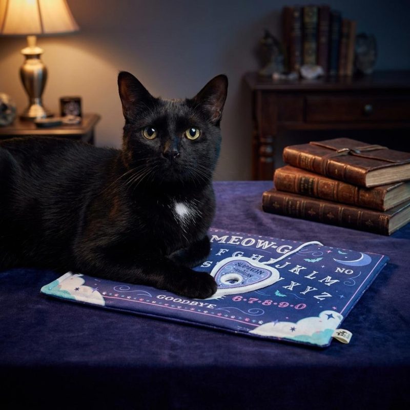 Meow-ji Board Catnip Kitty Playmat 1