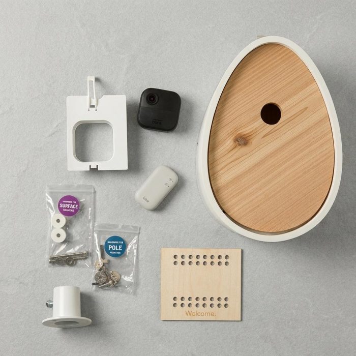 Nest Egg Video Birdhouse 6