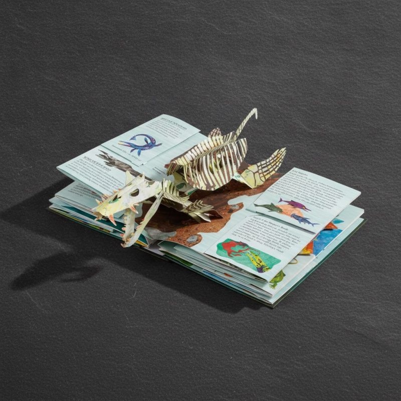 Prehistoric Sharks And Other Sea Monsters Deluxe Pop-up Book 1