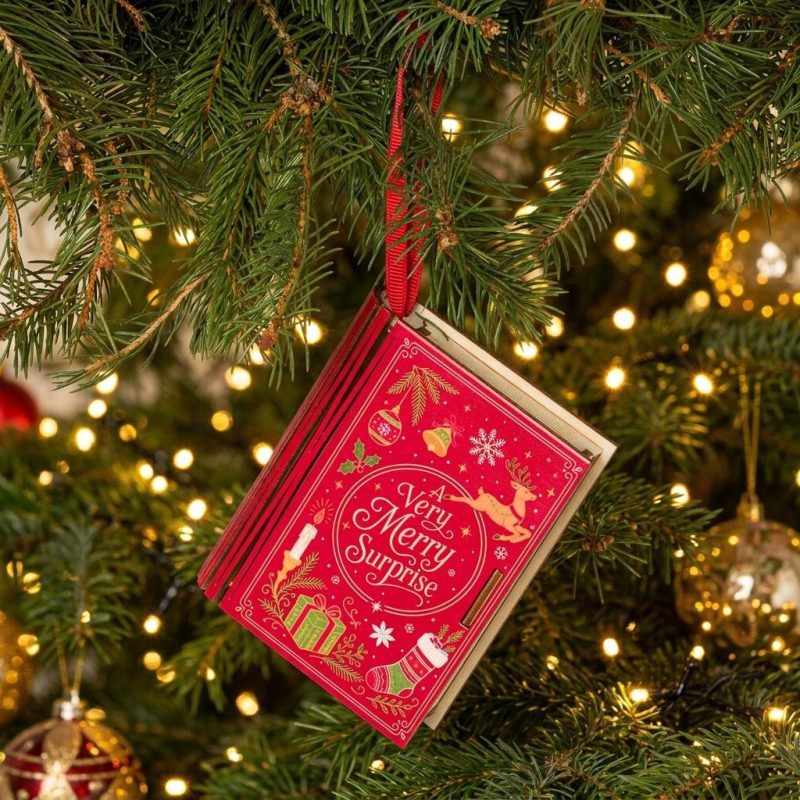 Secret Money Holder Book Ornament 1