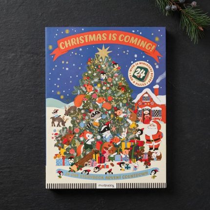 Teeny Tiny Board Book Advent Calendar