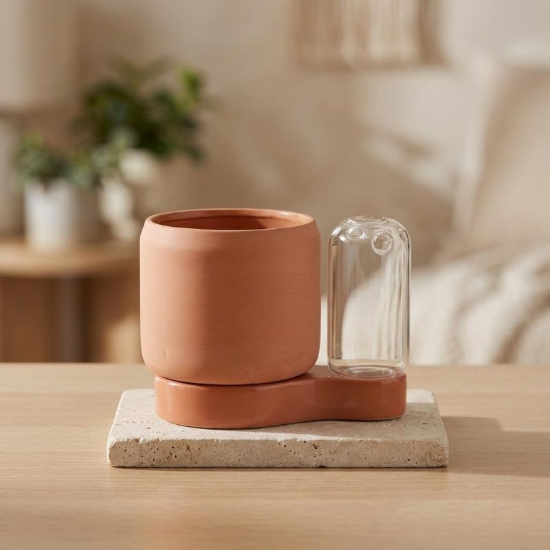 Ceramic Self-watering Planter & Propagation Station 1