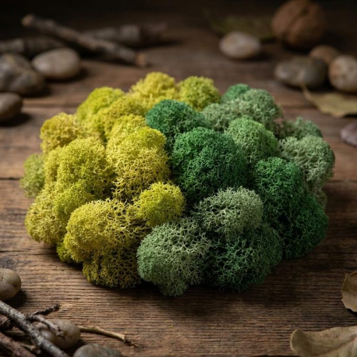 Diy Botanical Moss Art By Numbers 2