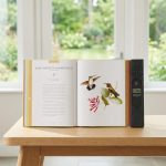 Interactive 250 North American Birds Sound Book 2