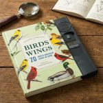 Interactive 250 North American Birds Sound Book 4