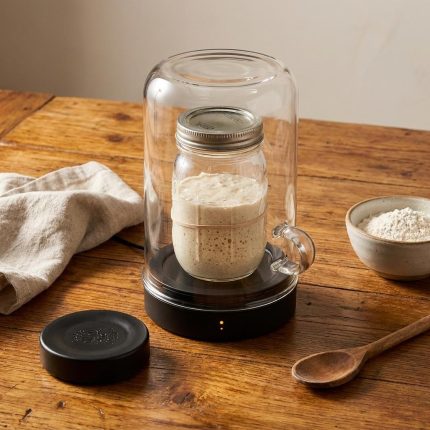 Smart Temperature Controlled Sourdough Starter Device