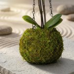 Stunning Hanging Orchid In Moss Covered Vase 1