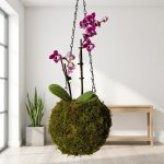 Stunning Hanging Orchid In Moss Covered Vase