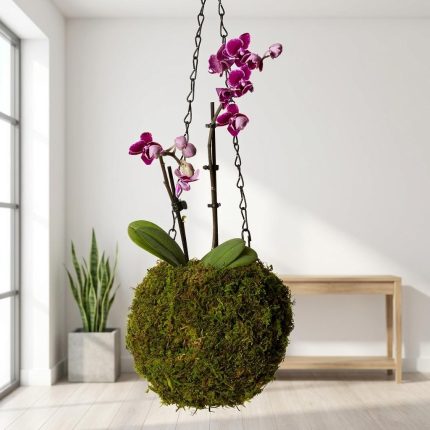 Stunning Hanging Orchid In Moss Covered Vase