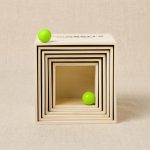 Ultimate Box And Balls Trick Shot Challenge Set 1