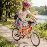 2-in-1 Handlebar & Crossbody Bag 2