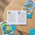 Avian Allies Bird Oracle Deck & Guide 1