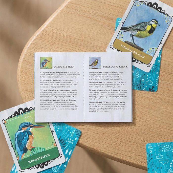 Avian Allies Bird Oracle Deck & Guide 1
