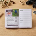 Beautiful Bird Watchers' Field Guide Of North America 2