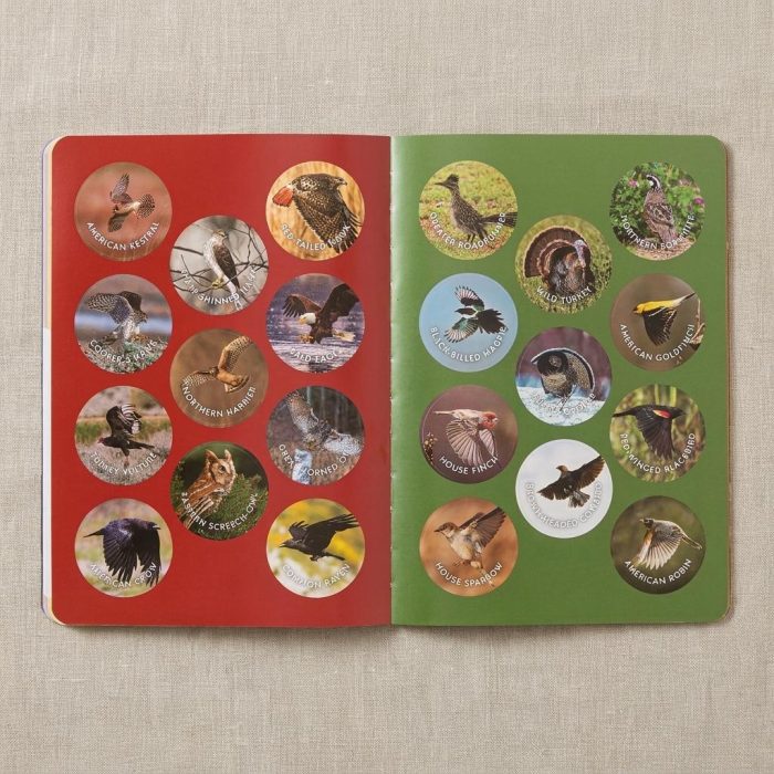 Beautiful Bird Watchers' Field Guide Of North America 3