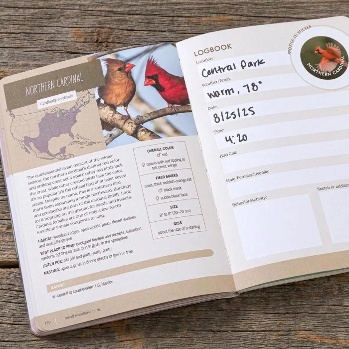 Beautiful Bird Watchers' Field Guide Of North America 4