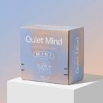 Calming Lavender Weighted Emotional Support Mini Pillow 1