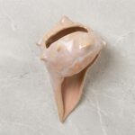Ceramic Hand-sculpted Conch Shell Speaker 2