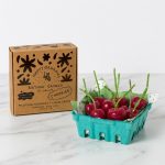 Cute Cherry Birthday Candles 1