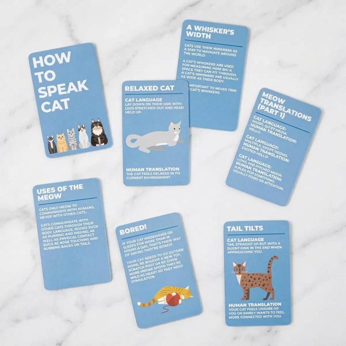 Cute How To Speak Cat Cards 1