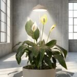 Eco-friendly Instant Sun Houseplant Grow Lamp