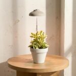 Eco-friendly Instant Sun Houseplant Grow Lamp 2