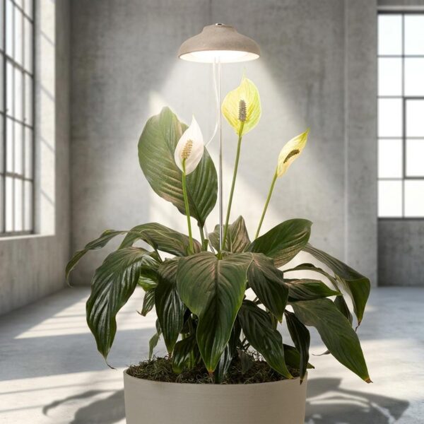 Eco-friendly Instant Sun Houseplant Grow Lamp