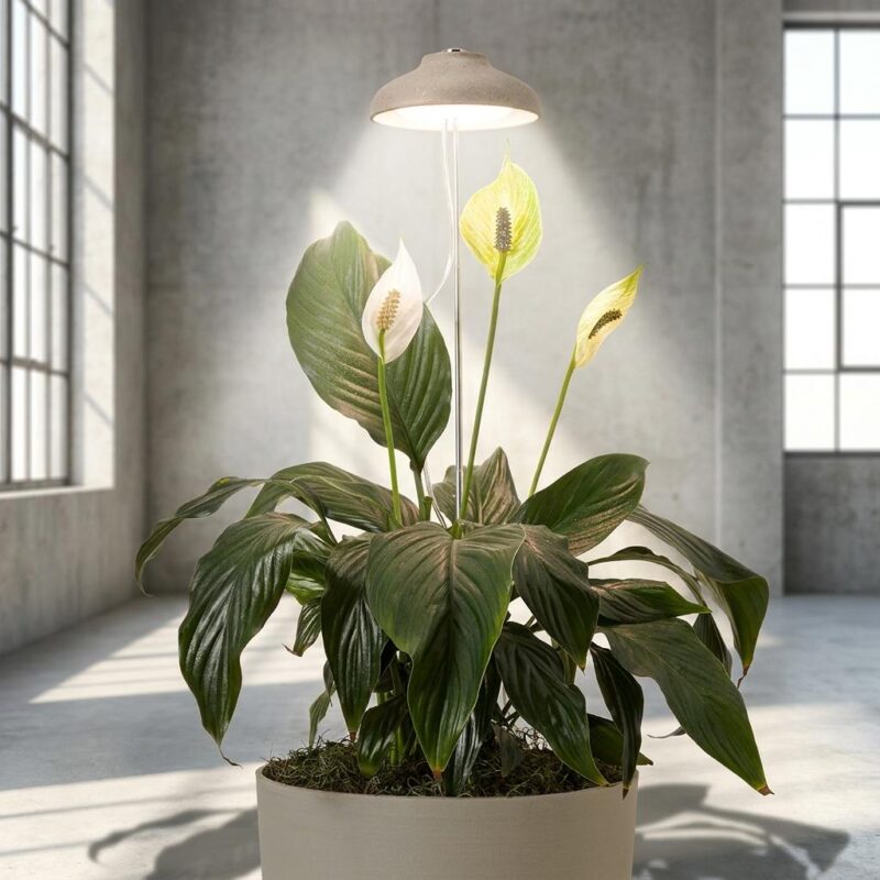 Eco-friendly Instant Sun Houseplant Grow Lamp