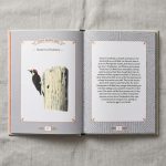 Illustrated City Bird Metro Bird Guide 1