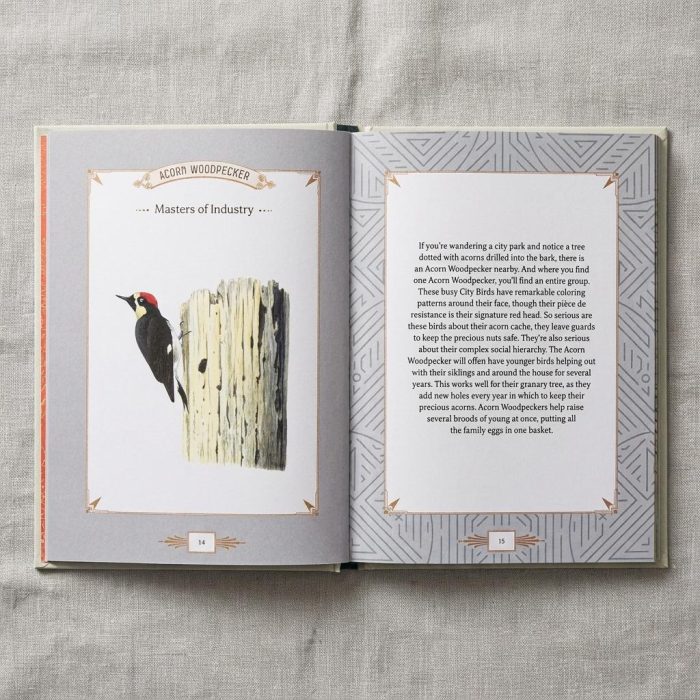 Illustrated City Bird Metro Bird Guide 1