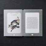 Illustrated City Bird Metro Bird Guide 2