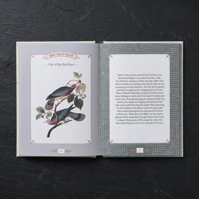 Illustrated City Bird Metro Bird Guide 2