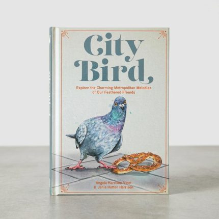 Illustrated City Bird Metro Bird Guide