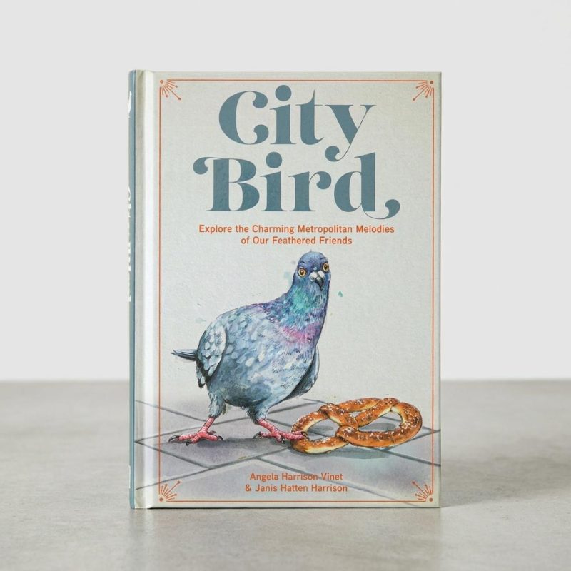 Illustrated City Bird Metro Bird Guide