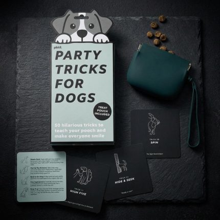 Interactive Puppy Party Trick Training Set
